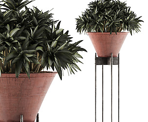 Plants Collection 49