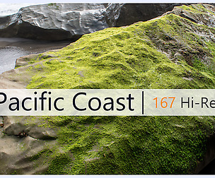 Pacific Coast | Photo Reference Pack