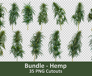 PNG Photo Pack: Hemp
