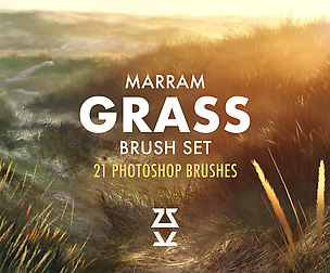 Marram Grass brush set