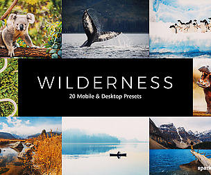 20 Wilderness Lightroom Presets and LUTs