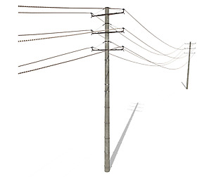 Electricity Pole 19