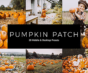 20 Pumpkin Patch Lightroom Presets and LUTs
