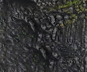 Black Stone Moss - 8K ST (5 variations)