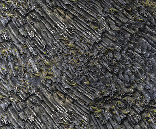 Black Stone Moss 2 - 8K ST (5 variations)