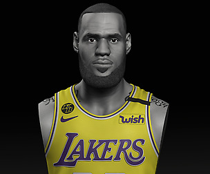 LeBron James Bust