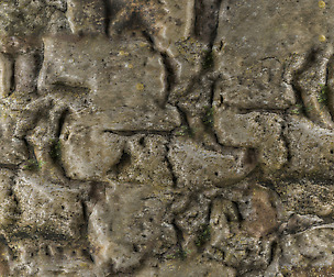 Castle Wall 3 - 8K ST (5 variations)