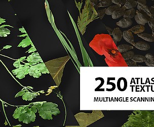 Huge atlas pack (250) | Foliage | Spice | Decals
