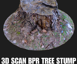 3d scan BPR tree stump low poly
