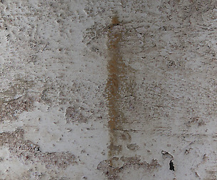 Concrete 6 - 8K ST (5 variations)