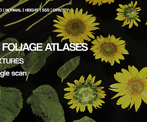 Free atlas textures | Photogrammetry | 32 .tif`s