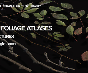 Free 6K 16 bit Atlas textures | Photogrammetry