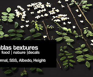 Huge atlas pack 2 | 290 textures | 34 Items