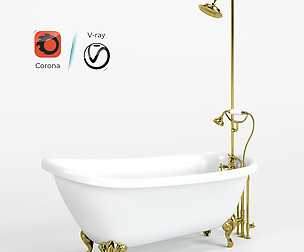 Tub with shower