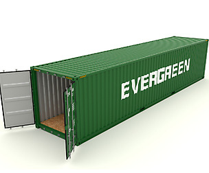 Shipping Container Evergreen