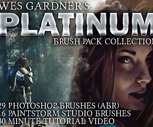 Wes Gardner's Platinum Brush Pack
