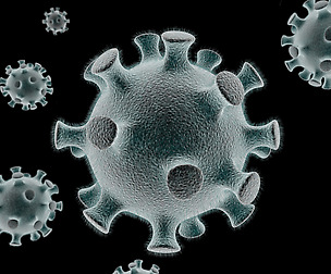 Coronavirus microscope view
