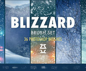 Blizzard brush set