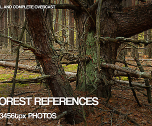 Pine Forest reference pack