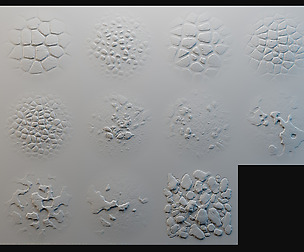 Scales and Skin VDM Brush