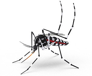 Mosquito (textured)
