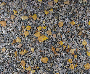 Ground Leaves 7 - 8K ST (5 variations)