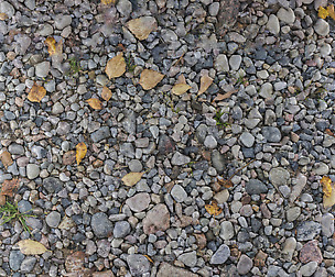 Ground Pebbles Leaves - 8K ST (5 variations)