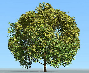 Big tree and wind effect 3D model