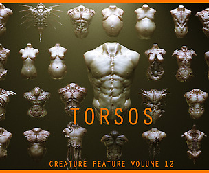 TORSOS - 33 Character & Creature Zbrush IMM