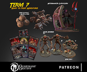 Term 7 - Necromancer Clepus Virk