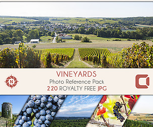 Vineyards 2 - Photo Reference Pack