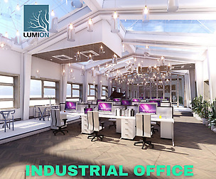 Industrial Office on Attic with Skylights - Lumion