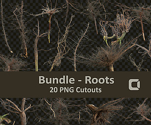 PNG Photo Pack: Roots