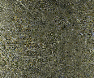 Ground 24 - 8K ST (5 variations)