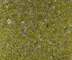 Ground 31 - 8K ST (5 variations)