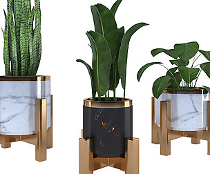 Plant_Set_1