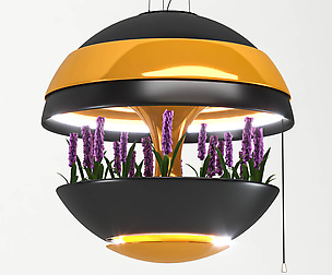 Light&Flower Box