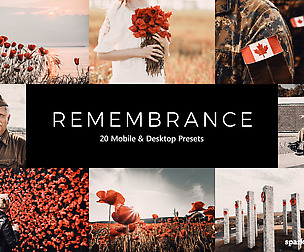20 Remembrance Lightroom Presets and LUTs