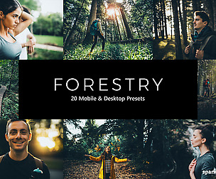 20 Forestry Lightroom Presets and LUTs