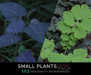 Small Plants