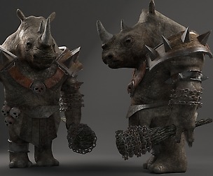 Rhino warrior