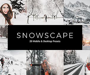 20 Snowscape Lightroom Presets and LUTs