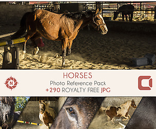 Horses - Photo Reference Pack