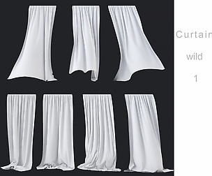 Curtain wild 1
