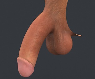 Realistic Male Penis