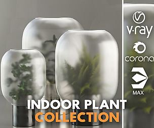 Indoor plant