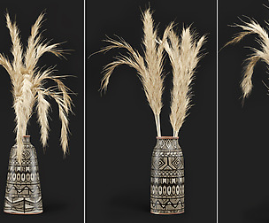 Dry plants 04 - Dried Plantset Pampas set