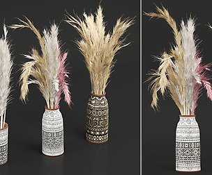Dry plants 05 - Dried Plantset Pampas set