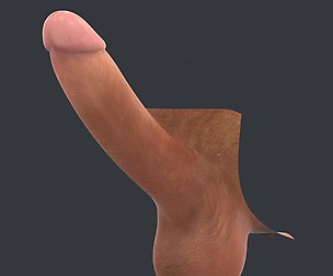 Realistic Male Erect Penis