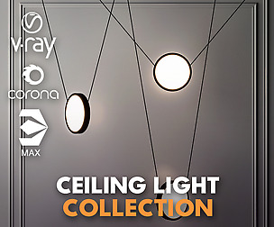 Ceiling Light